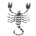 znak zodiaku Skorpion