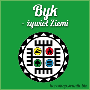 byk-zywiol