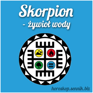 skorpion-zywiol